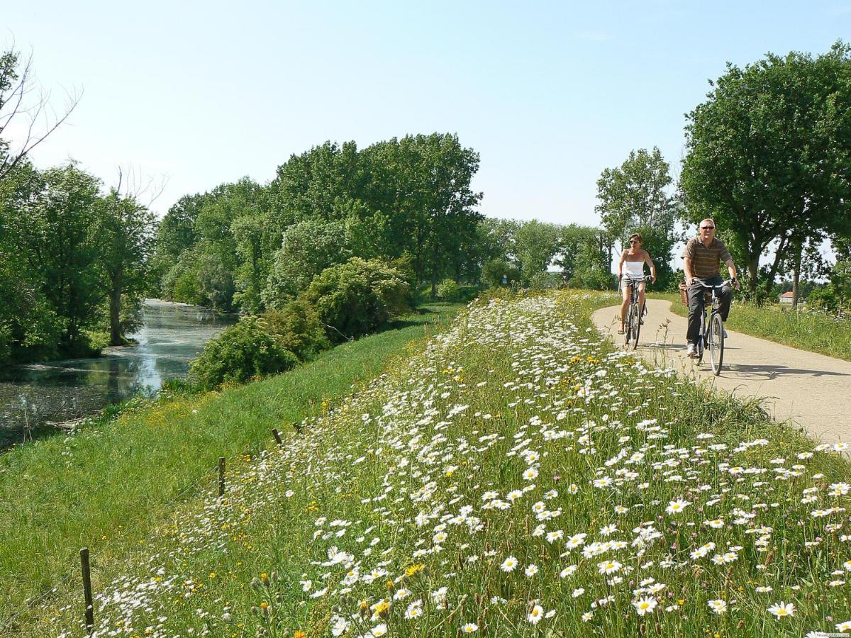 Camping De Binnenvaart Superior Chalet Aan de Wolfsberg Eksteriør billede